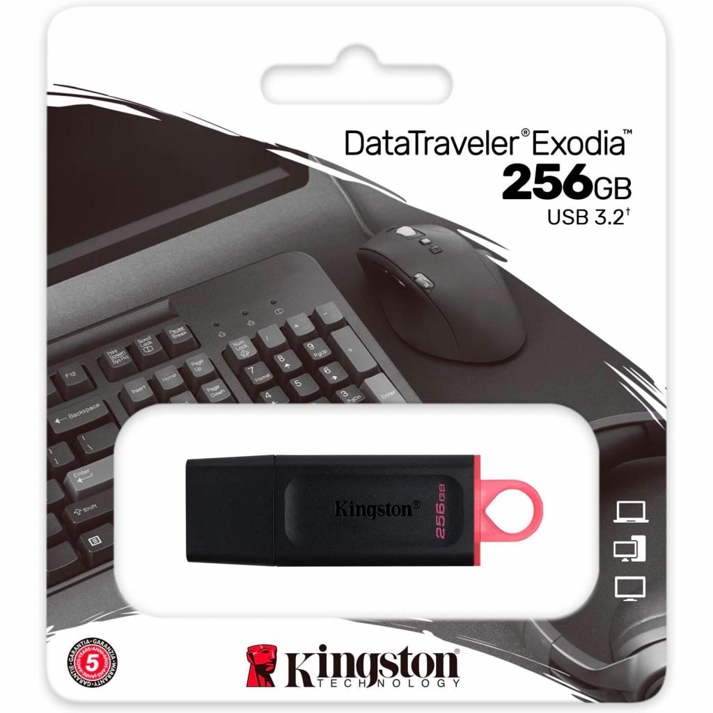 USB флеш накопитель Kingston 256GB DataTraveler Exodia (DTX/256GB)