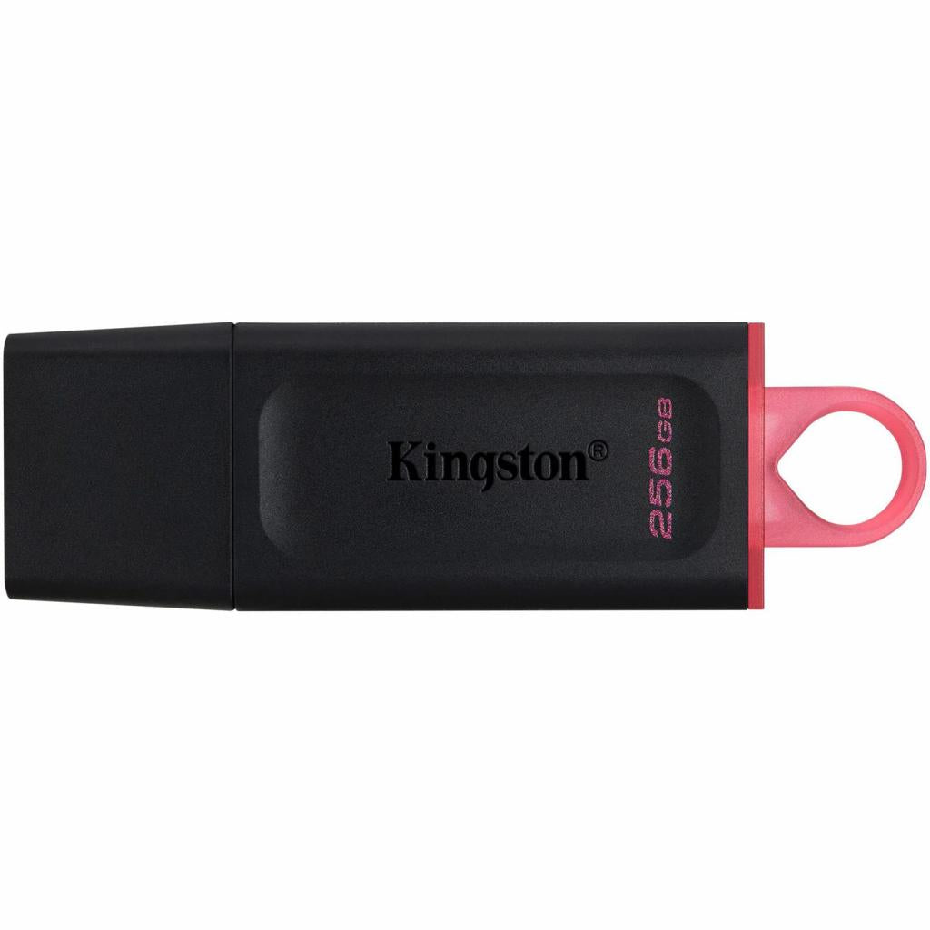 USB флеш накопитель Kingston 256GB DataTraveler Exodia (DTX/256GB)