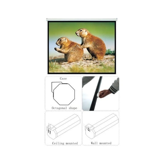 Проекционный экран 4x3 Brateck PEBC120 240х180 см