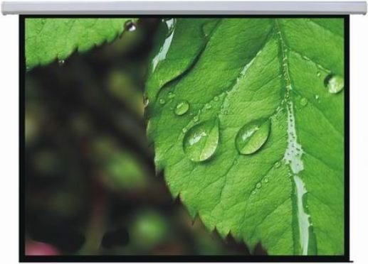 Екран моторизований 4x3 Brateck PEAC200 400х300 см