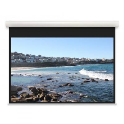 Моторизованный экран Projecta Elpro Concept 173x300 (10102106)