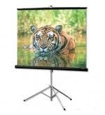 Проекційний екран на тринозі 178*178 TMB-70S