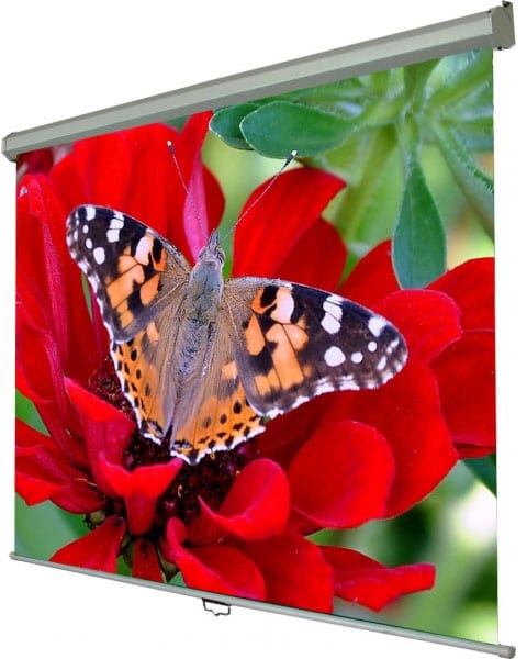 Проекційний екран Walfix SNM-4