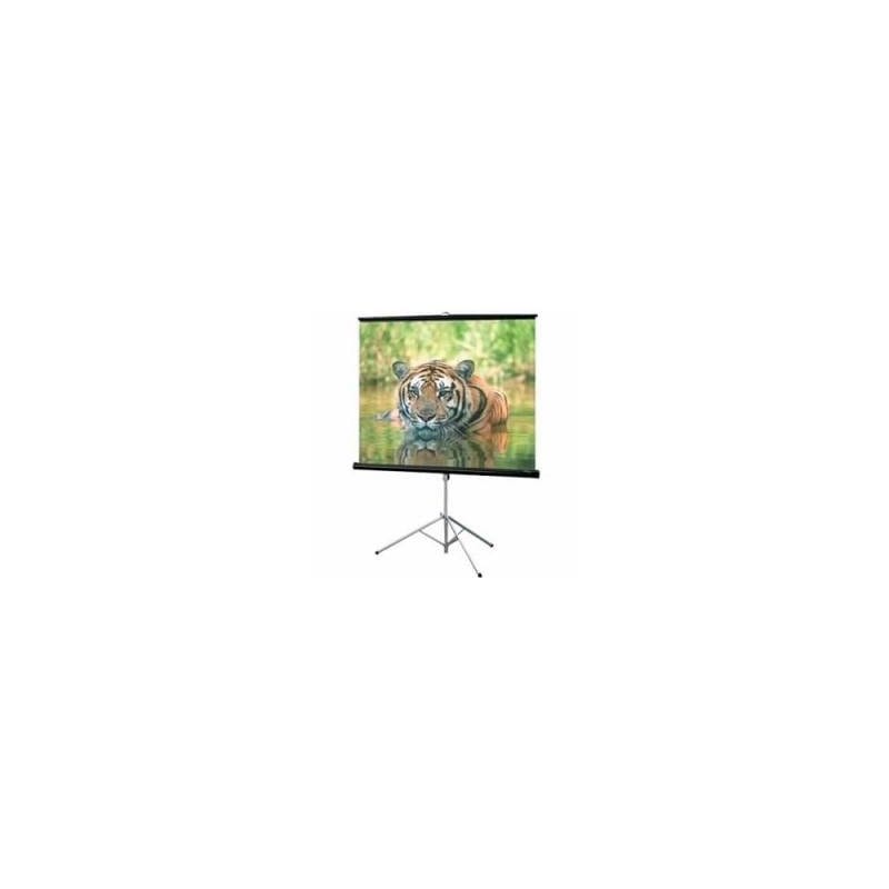 Проекционный экран T99UWS1 ELITE SCREENS