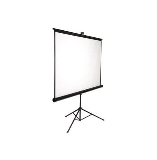 Проекционный экран AV Screen 3V084MTV