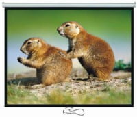 Проекционный экран Brateck 108 PEBA108; 16:9; 240х135 cm; настенный с механизмом возврата