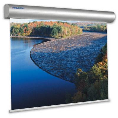 Моторизованный экран Projecta Master Electrol 250x400 см/MW