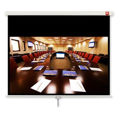Проекционный экран Avtek Business 240 (1EVS57)