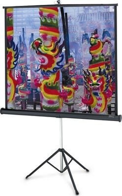Проекционный экран Professional 213x213cm Projecta (10430110)