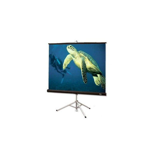 Проекционный экран Draper Diplomat Matt White 152 x 203 (213009)
