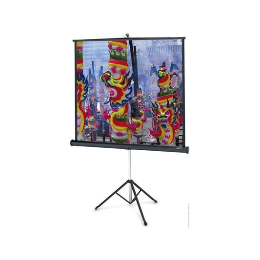 Екран на тринозі Projecta Professional 152x152 см/MW